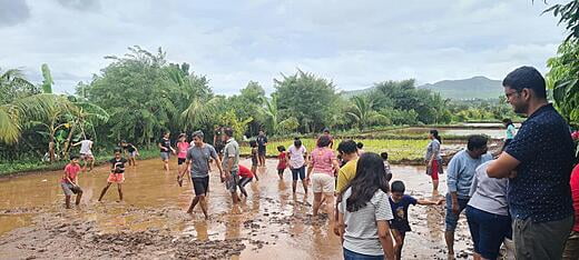 Social Activity - Rice Plantation