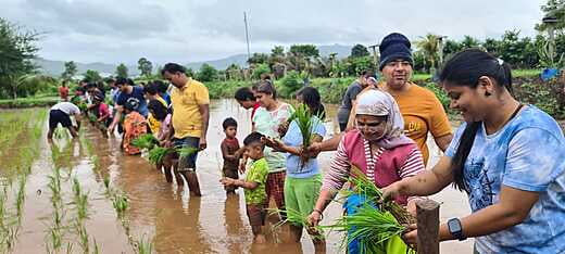 Social Activity - Rice Plantation