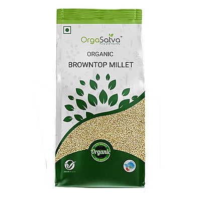 Brown Top Millet